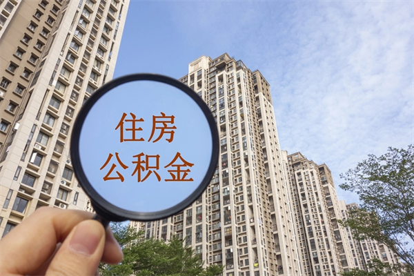 中国台湾辞职多久公积金可以全部取出来吗（辞职之后公积金多长时间可以取）
